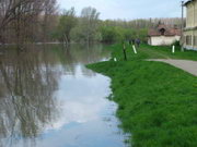2006